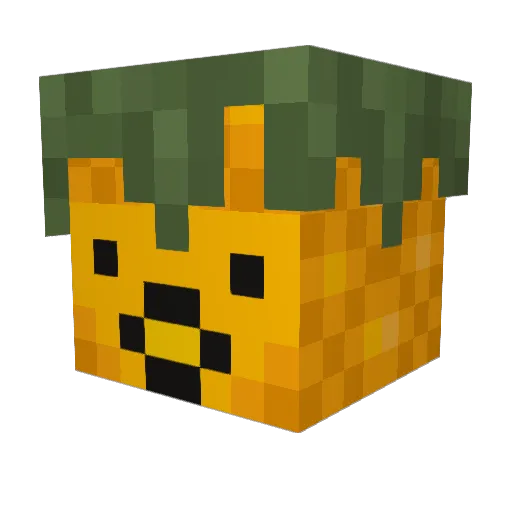 MyNamesWowza Minecraft avatar head, 3D render