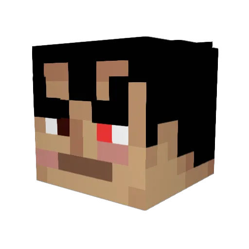 MyOnlineIDName Minecraft avatar head, 3D render