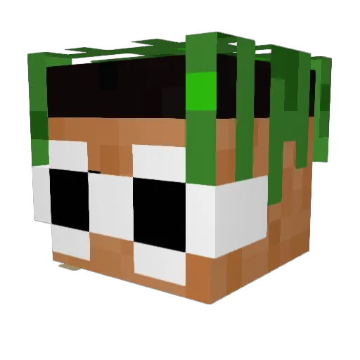MyPPis1MM Minecraft avatar head, 3D render