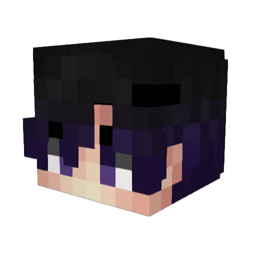 MyPcIsMadeOfWood Minecraft avatar head, 3D render