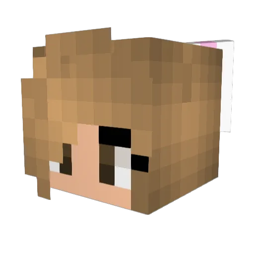 MyPingIsTooHigh Minecraft avatar head, 3D render