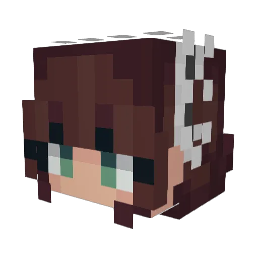 MyShadowCat Minecraft avatar head, 3D render