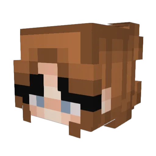 MySkillsHateMe2 Minecraft avatar head, 3D render