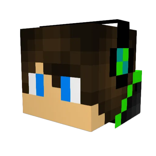 MySkillzAreAids Minecraft avatar head, 3D render