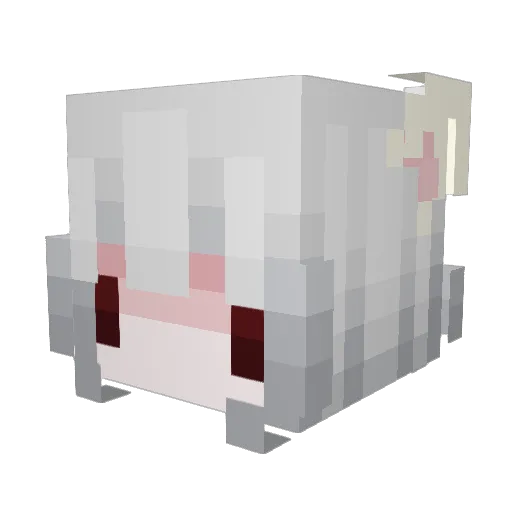 MySupremeLeader Minecraft avatar head, 3D render