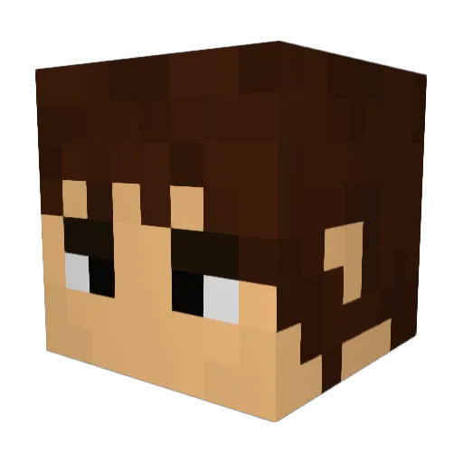 MyToasterIsReL Minecraft avatar head, 3D render