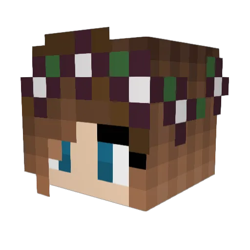 MyTree123 Minecraft avatar head, 3D render