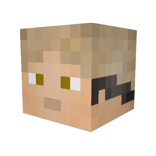 MyVisionIsDying Minecraft avatar head, 3D render