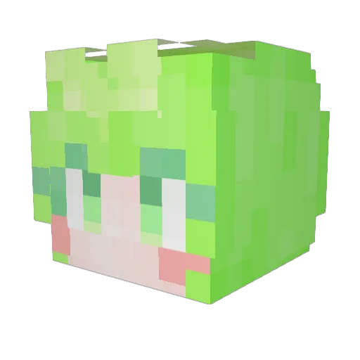 My_Bidet Minecraft avatar head, 3D render