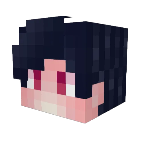 My_Names_Combo Minecraft avatar head, 3D render