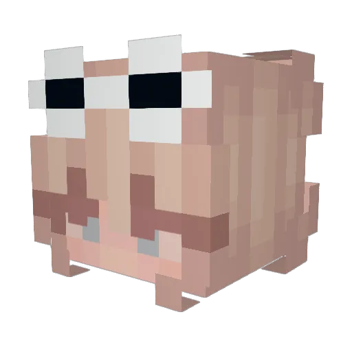 MyaInnit Minecraft avatar head, 3D render