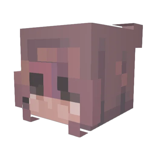 MyaMonkey21 Minecraft avatar head, 3D render