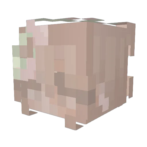 MyaRoses Minecraft avatar head, 3D render