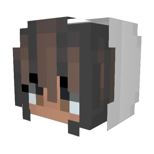 MyanswerisNope Minecraft avatar head, 3D render