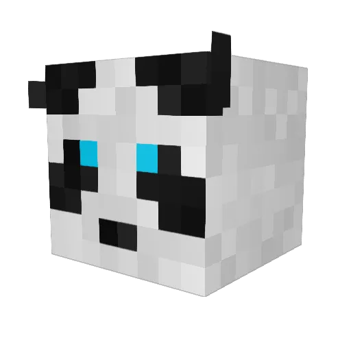 Mycoba Minecraft avatar head, 3D render