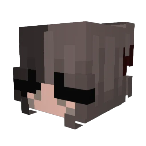 Myein Minecraft avatar head, 3D render