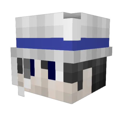 Myfly_waw Minecraft avatar head, 3D render