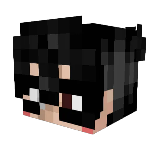 Mykedoesplay Minecraft avatar head, 3D render