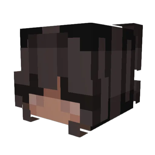 Mykee3d23 Minecraft avatar head, 3D render