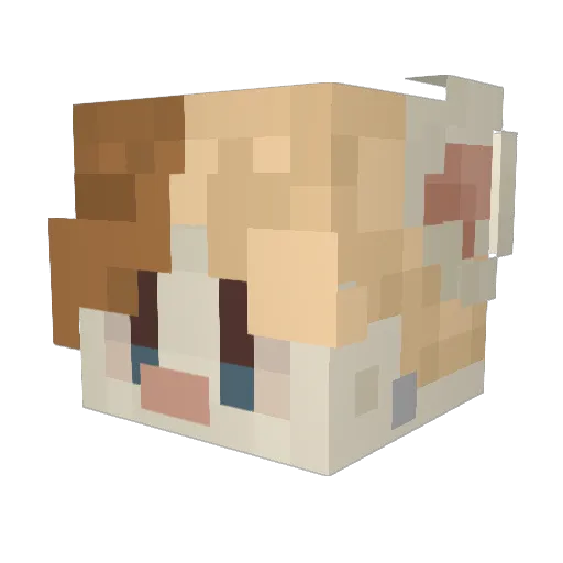 Mylo_Ver1 Minecraft avatar head, 3D render