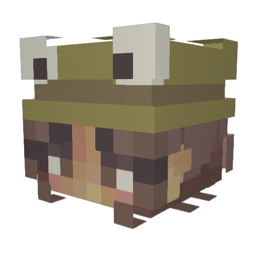 MymyDragonfly Minecraft avatar head, 3D render