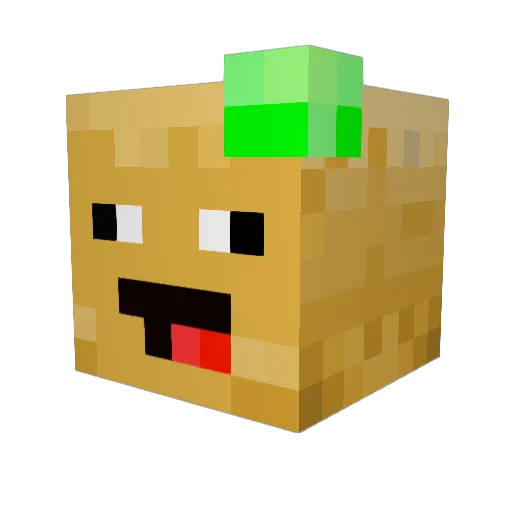 Myname_is_ Minecraft avatar head, 3D render