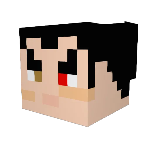 Mynameismichael0 Minecraft avatar head, 3D render