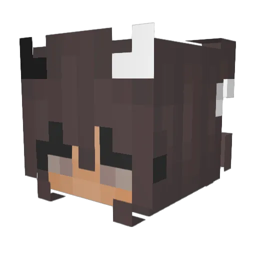 Mynamemaya500 Minecraft avatar head, 3D render