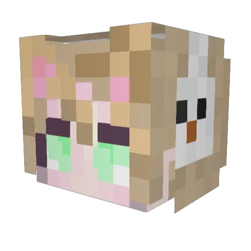 Myo_nyang__ Minecraft avatar head, 3D render