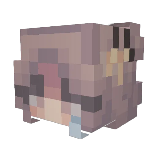 Myocotis Minecraft avatar head, 3D render