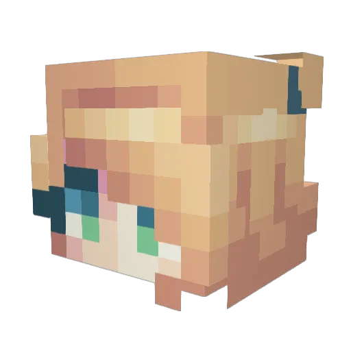 Myola31 Minecraft avatar head, 3D render