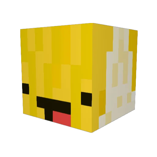 Myownplace99 Minecraft avatar head, 3D render