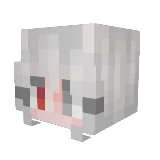 Myriad_3117 Minecraft avatar head, 3D render