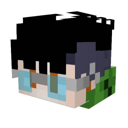 Myrtales Minecraft avatar head, 3D render