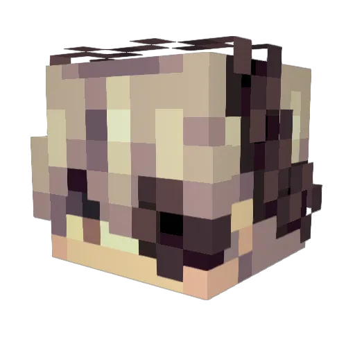 Myserai Minecraft avatar head, 3D render