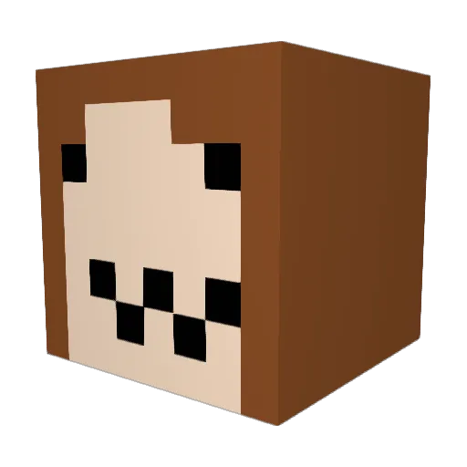 Myshybruh Minecraft avatar head, 3D render