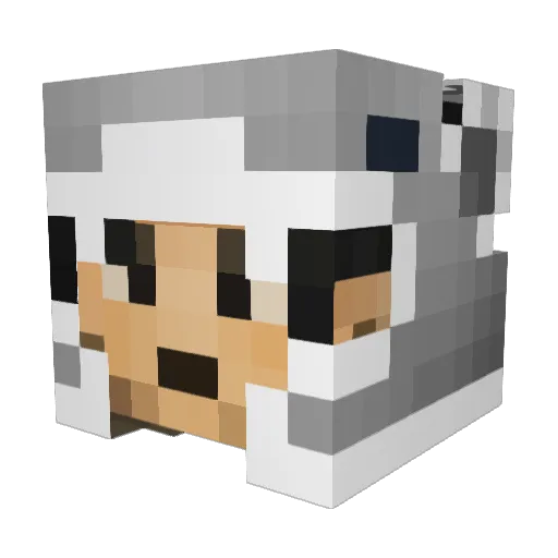 Myster06 Minecraft avatar head, 3D render