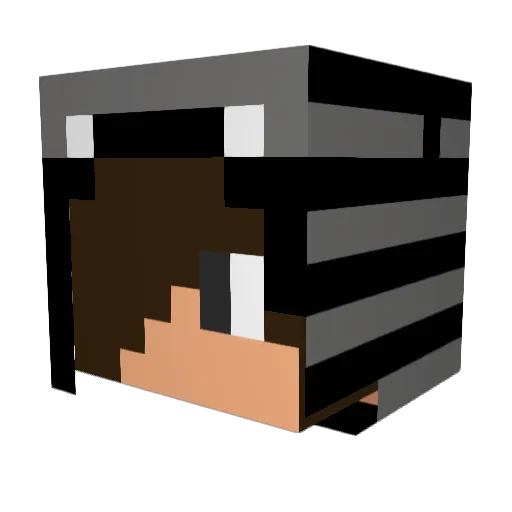 Myster_T_5 Minecraft avatar head, 3D render