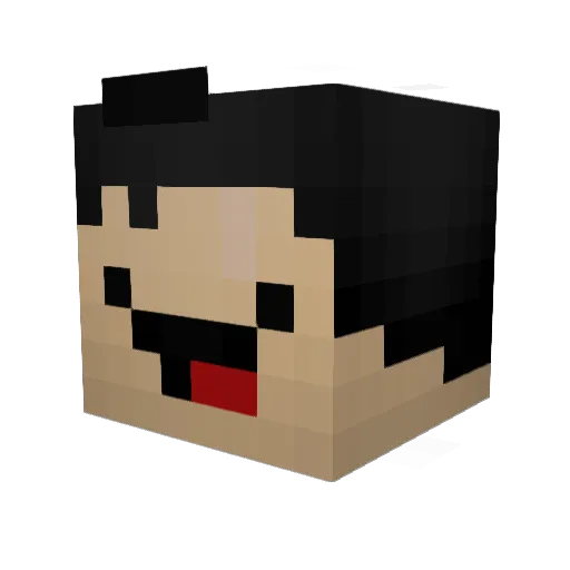 MysteriousDonut Minecraft avatar head, 3D render
