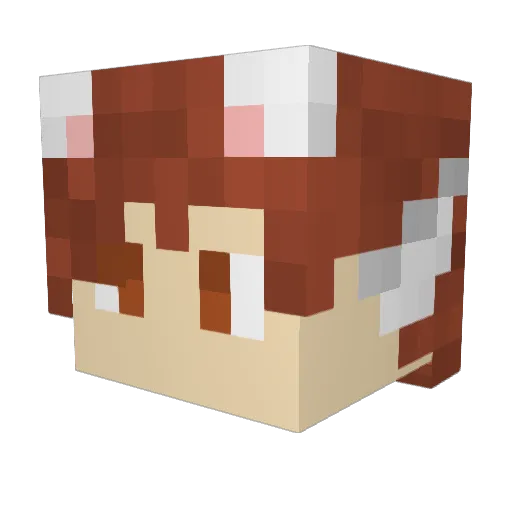 MysteriousH2 Minecraft avatar head, 3D render