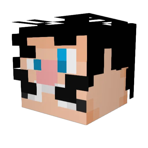 MysteriousHunt Minecraft avatar head, 3D render