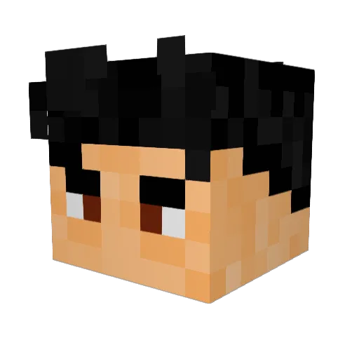 MysteriousLeader Minecraft avatar head, 3D render