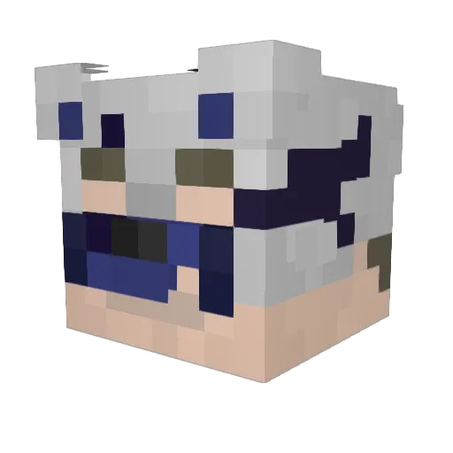 MysteriousMan115 Minecraft avatar head, 3D render