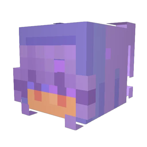 Mysterious_Loner Minecraft avatar head, 3D render