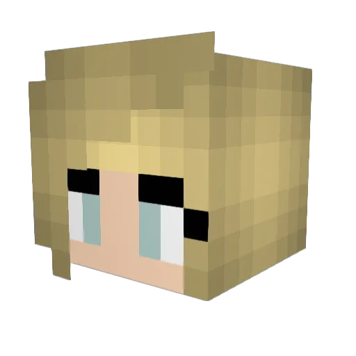 Mysterious_Singe Minecraft avatar head, 3D render