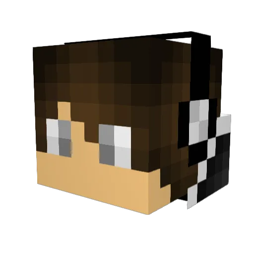 Mysterious_Whale Minecraft avatar head, 3D render