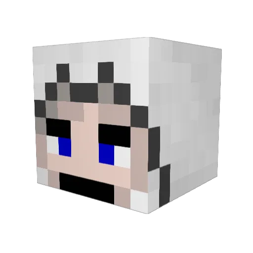 Mystery262 Minecraft avatar head, 3D render