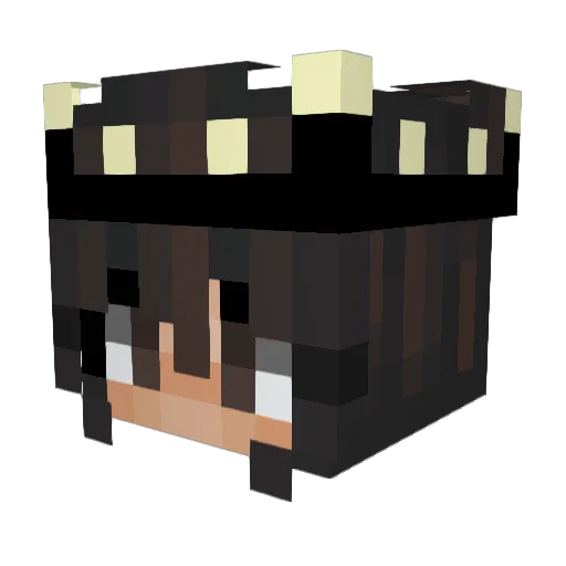 Mystery2801 Minecraft avatar head, 3D render