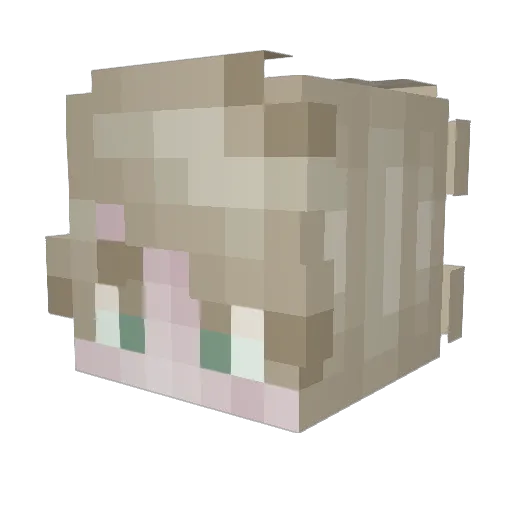 MysteryRogers Minecraft avatar head, 3D render