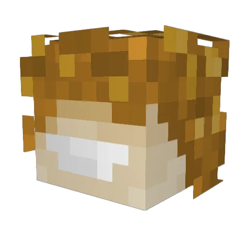 MysticVentures Minecraft avatar head, 3D render